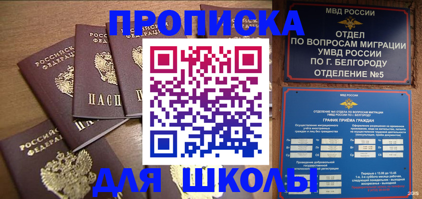 прописка гарантия в Кашине